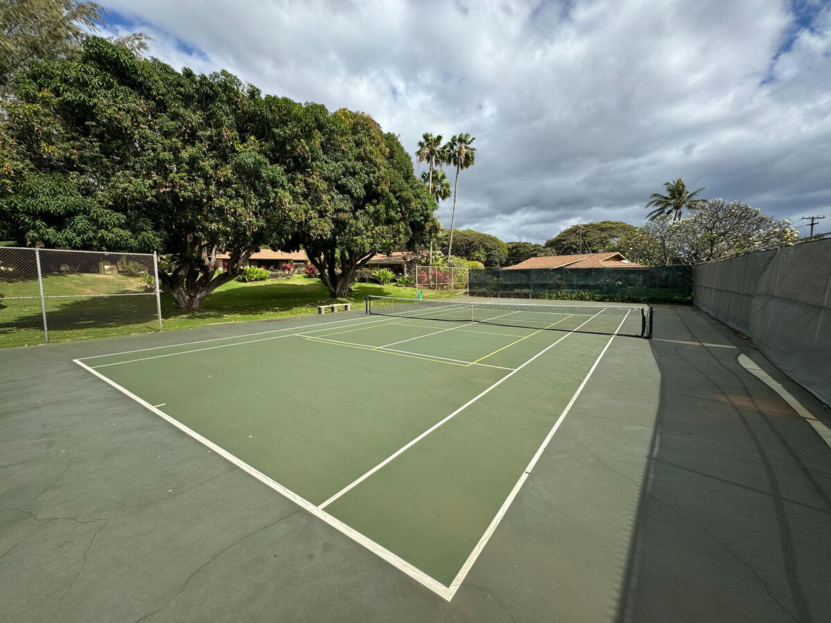 Pickleball Court