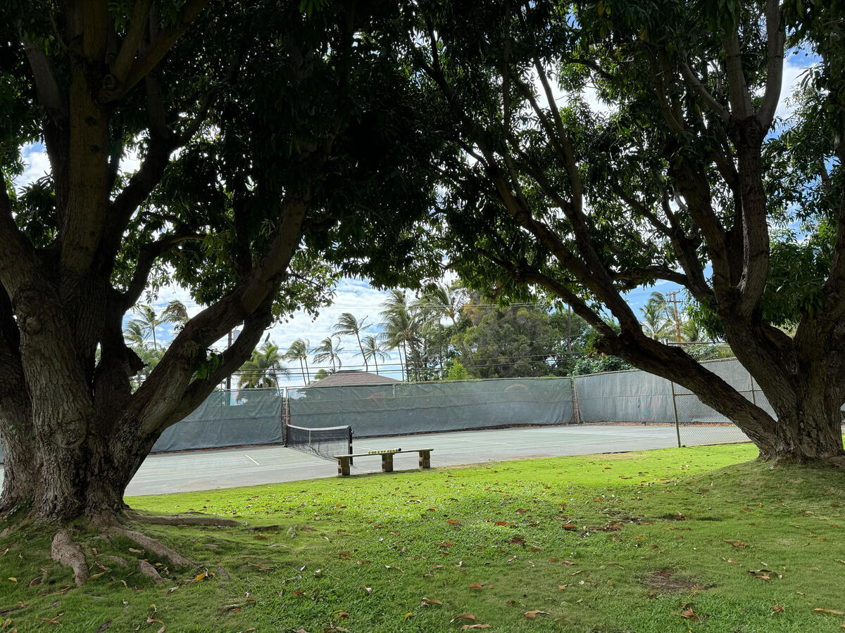 Yard and Pickleball Court